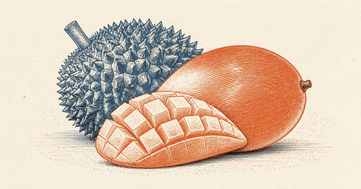 Engraved illustration of a durian and a sliced mango